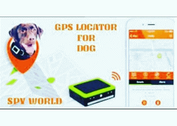 App for GPS tracking Miami Beach Coral Gables