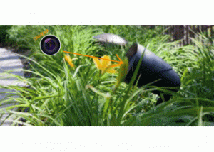 CAMARA ESCONDIDA VIDEO MIAMI BEACH HIALEAH GARDENS