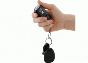Self defense items Doral Kendall