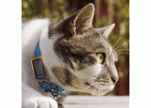 RASTREADOR GPS PARA MASCOTAS MIAMI BEACH HIALEAH GARDENS 