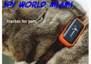 RASTREADOR GPS PARA MASCOTAS MIAMI BEACH HIALEAH GARDENS 