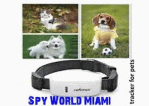RASTREADOR GPS PARA MASCOTAS MIAMI BEACH HIALEAH GARDENS 